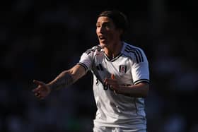 LATE MOVE: From Leeds United for Fulham's Harry Wilson, above.