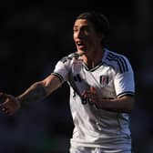 LATE MOVE: From Leeds United for Fulham's Harry Wilson, above.