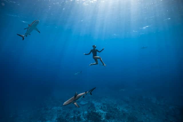 One film which will be screened is Aquaballet, a poetic dance with marine life