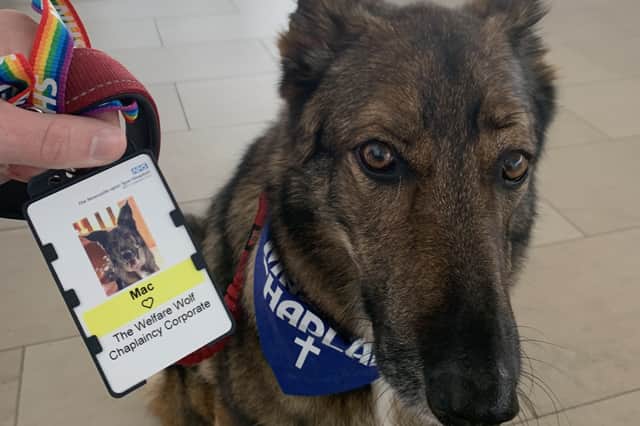 Mac pictured with his very own pass.