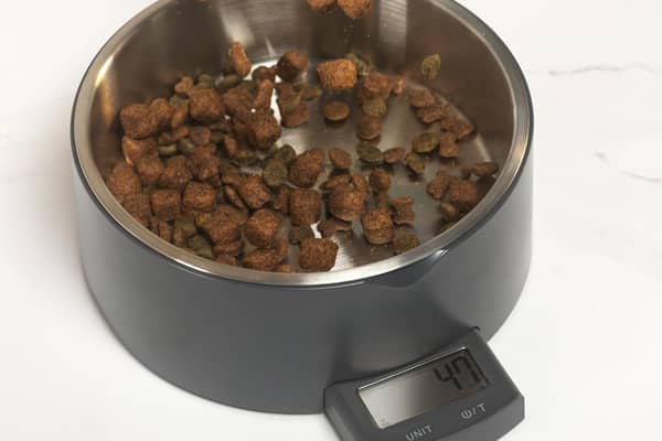 Salter's Digital Pet Food Scale is a game-changer for anyone with a portly pooch