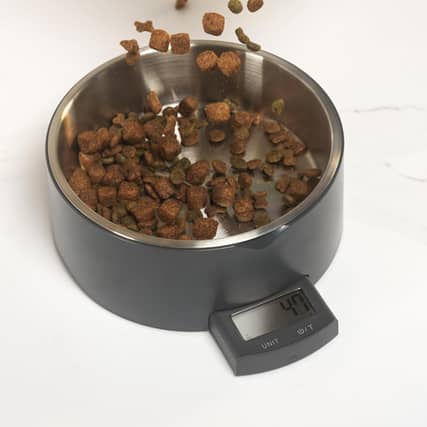 Salter's Digital Pet Food Scale is a game-changer for anyone with a portly pooch