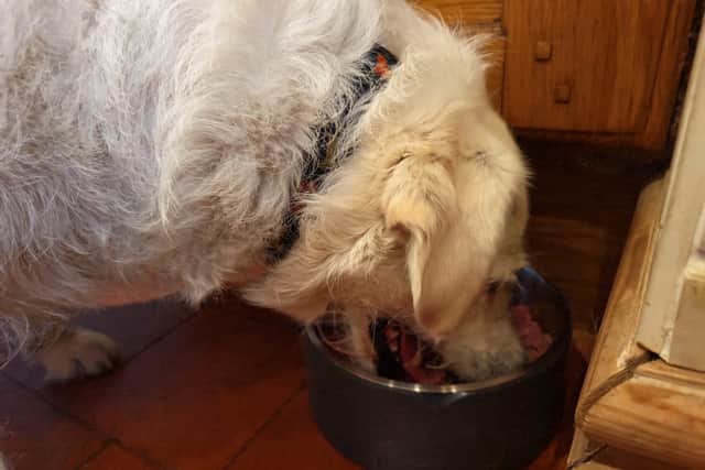 Honey is well on her way to weight loss - and the smart scale is really helping