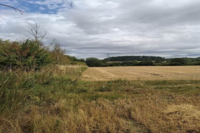 Plans to build a battery storage on green belt land near Ledston and Allerton Bywater was rejected by the council but an appeal could be imminent.