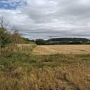 Plans to build a battery storage on green belt land near Ledston and Allerton Bywater was rejected by the council but an appeal could be imminent.