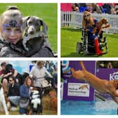 DogFest held at Harewood House in Leeds