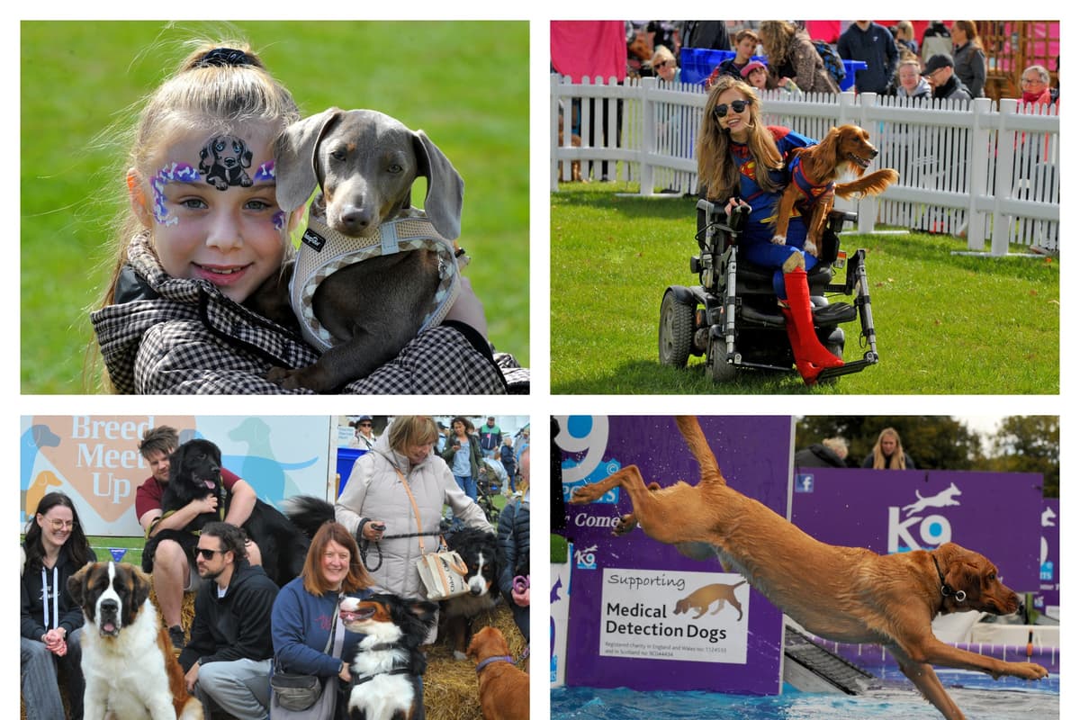 Dogfest 21 pictures as hundreds of hounds descend on grand Leeds setting for ...
