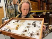 Curator Clare Brown at the Leeds Discovery Centre with some of its fascinating collection of spiders large and small originating from countries around the world, as well as many examples collected in Yorkshire.
