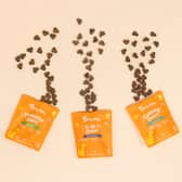 Probiotic supplements can work wonders for your pet's gut health - and help with various ailments