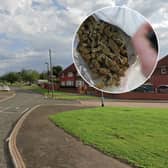 A trio has been charged with cocaine and cannabis offences following a raid in Leeds.