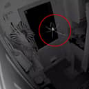 Comical moment spider startled by Leeds resident’s Ring security camera as spider season to be worse this year.