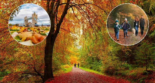 The weather over the past summer may trigger an especially vibrant display this autumn