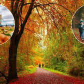 The weather over the past summer may trigger an especially vibrant display this autumn