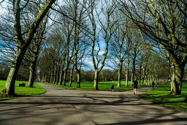 The attacks happened in the Hyde Park area of Leeds