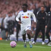 United's Italian international winger Gnonto missed the weekend's defeat at home to Tottenham due to a calf injury but Farke said there was no need for surgery on the problem and fully expected Gnonto to return to training this week.
