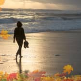 Make the most of the weather before winter arrives with 11 fantastic beach walks you can take in the UK during the Autumn season.
