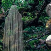 Dare you be an intrepid traveller this Halloween and venture on one of these 10 walks said to be "spooky"? 