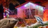 Nature charities say fake cobwebs can trap hedgehogs, birds, bats, and eve insects
