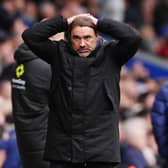 Leeds United boss Daniel Farke.