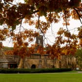 Autumn colours at Kirkstall Abbey, in Leeds.
