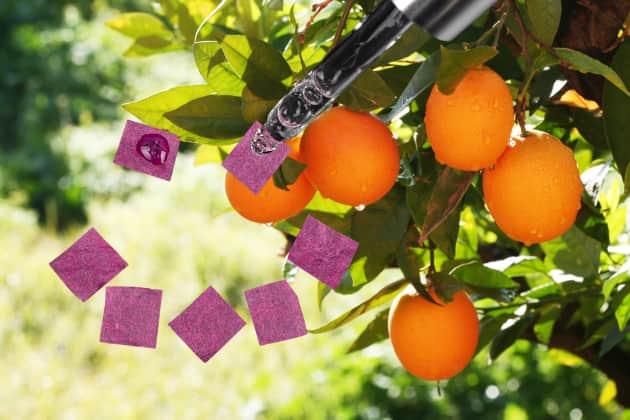 There's a reason Orange Peel Man is visceral to hear about; it serves as a form of moral panic against drug use and elicits scares to ward people off them.