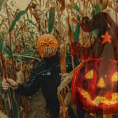Looking for some last-minute activities ahead of Halloween this weekend? Check out our guide to some of West Yorkshire's wonderful, if not slightly unnerving, interactive activities this year. 