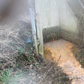 A surface water outfall bacteria colony at Mosley Beck Avenue in Cookridge.