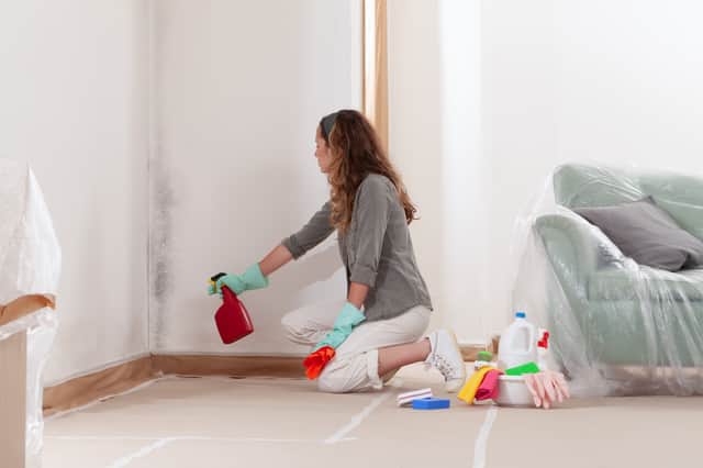 AirFresh warn that there could be a rise in unsafe mould treatments.