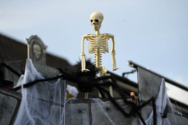A spooky visitor to the Butterbowl in Farnley, Leeds.
