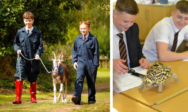 Some pupils study animal care BTECs, but science, art, and even English classes also get the chance to work with the animals
