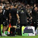 GONE: Leeds United's struggling rivals Wolves have sacked boss  Vitor Pereira, right.