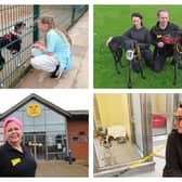 Dogs Trust Leeds held an Experience Day on Saturday.
