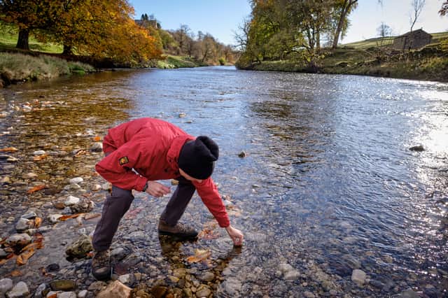 Using a kit supplied by the Great UK Waterblitz, the couple are testing the river at various points for levels of nitrates and phosphates (Credit: Gerard Liston)