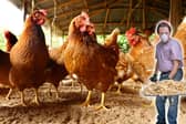 All poultry in England must be kept inside to limit further outbreaks, and keepers have to follow strict biosecurity rules