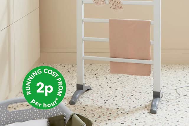 Compact and cheap to run, this £40 ladder airer is a bargain