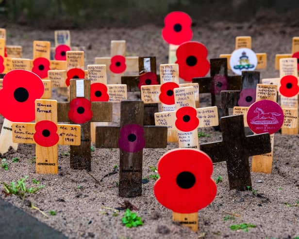 A display of poppies at the memorial in Victoria Gardens, Leeds.