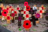 A display of poppies at the memorial in Victoria Gardens, Leeds.