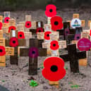 A display of poppies at the memorial in Victoria Gardens, Leeds.
