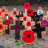 A display of poppies at the memorial in Victoria Gardens, Leeds.
