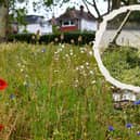 The research challenged a long-held assumption that promoting ecological benefits was enough to win over the public