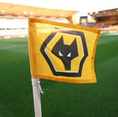 Wolves have confirmed the appointment of Rob Edwards.