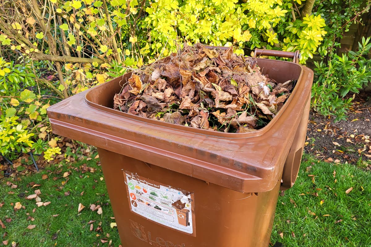 Brown bin services to resume - here's everything you need to know