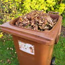 Leeds City Council have confirmed that their brown bin service will commence next week (March 23)