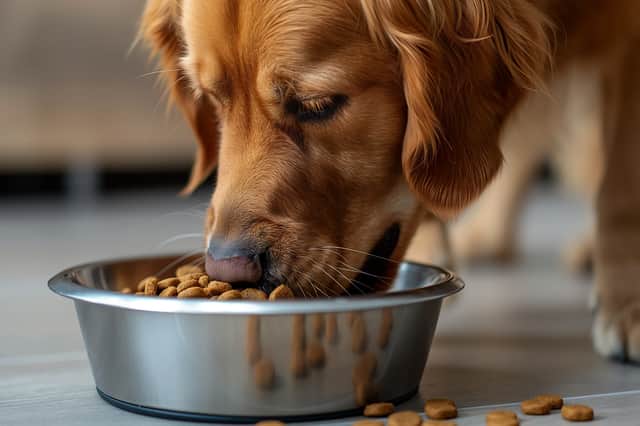 Reliable deliveries mean full bowls on time, every time, which is why so many pet owners are switching to predictable subscriptions.