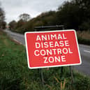 There is a bird flu outbreak across Yorkshire.