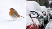 Leeds Bradford Airport is the joint 6th most likely place to see a ‘white Christmas’ with 5/2 odds (28.6%).