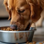 Keeping your pet's food cupboard stocked up has never been easier