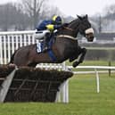 National Hunt performer Wendigo is trained by Grade 1-winning trainer Jamie Snowden.