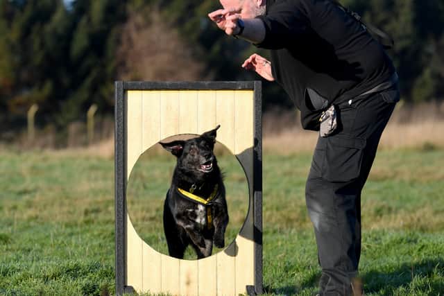 The Dogs Trust Leeds has been supporting pooches, like Opie, for a second chance in life.