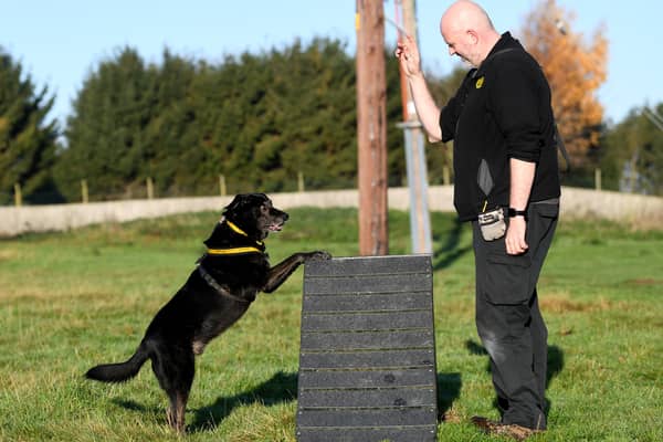 Dog Welfare assistant Kevin Johnson is pictured with dog Opie.